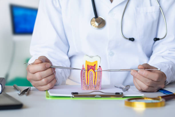 Best Broken Tooth Emergency  in Hot Springs Village, AR